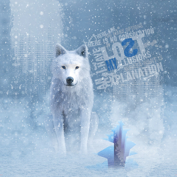 Tessuto Canvas Pannello Backpack Kids Double Face Zaino Lupi