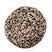 200 - Leopardo