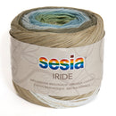 Filati Sesia Iride Cotone-4