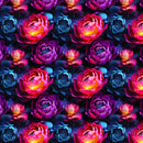 Softshell Summer Neon Peonies-2