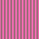 Tula Pink Stripes-11