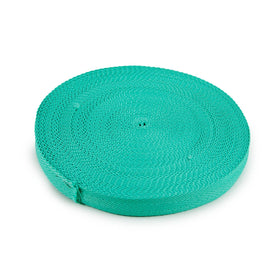 Acquista blu-acquamarina-intenso Nastro Fettuccia 30mm Fluor Ribbon