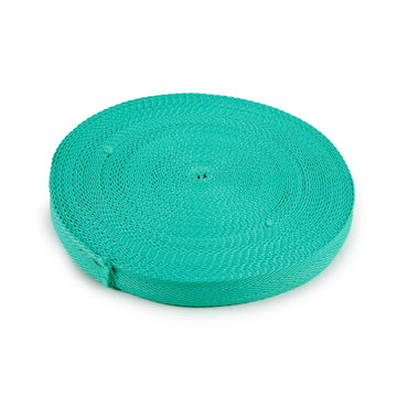 Acquista blu-acquamarina-intenso Nastro Fettuccia 30mm Fluor Ribbon