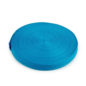 Acquista turchese Nastro Fettuccia 30mm Fluor Ribbon