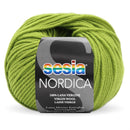 Filati Sesia Nordica Lana Merino-20