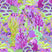 Ultraviolet (Viola)