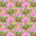 Coralline (Rosa)