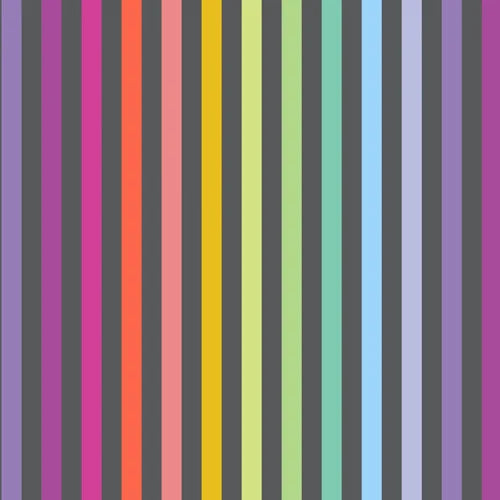 Tessuto Tula Pink Graywork Cotone Americano Disco Stripe