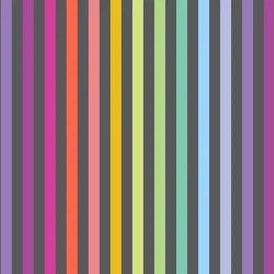 Tessuto Tula Pink Graywork Cotone Americano Disco Stripe