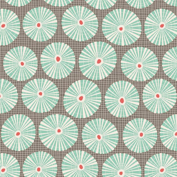 Tilda Cotton Beach Limpet Shell