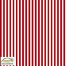 Cotone Americano Essential Righe-3