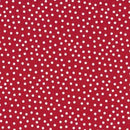 Cotone Americano Quilters Basic Pois-2