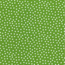 Cotone Americano Quilters Basic Pois-3