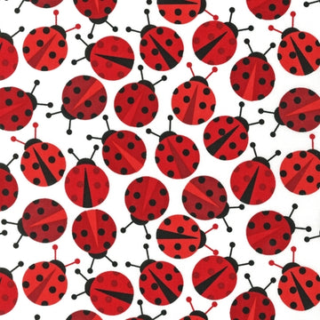 Tessuto Coccinelle Cotone Americano - 0