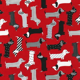 Tessuto Bassotti Cotone Americano