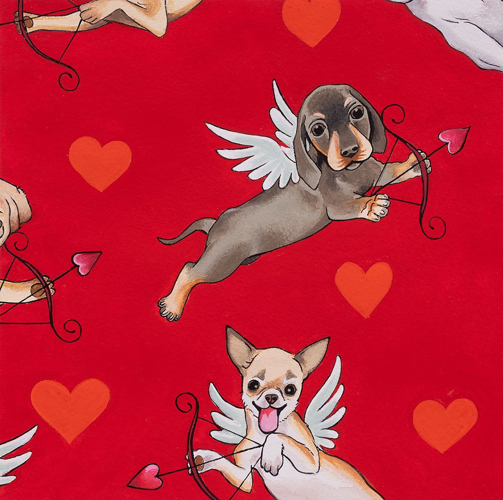 Cotone Americano Puppy Love