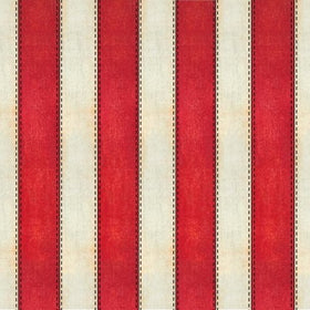 Cotone Americano Stripes American Honor