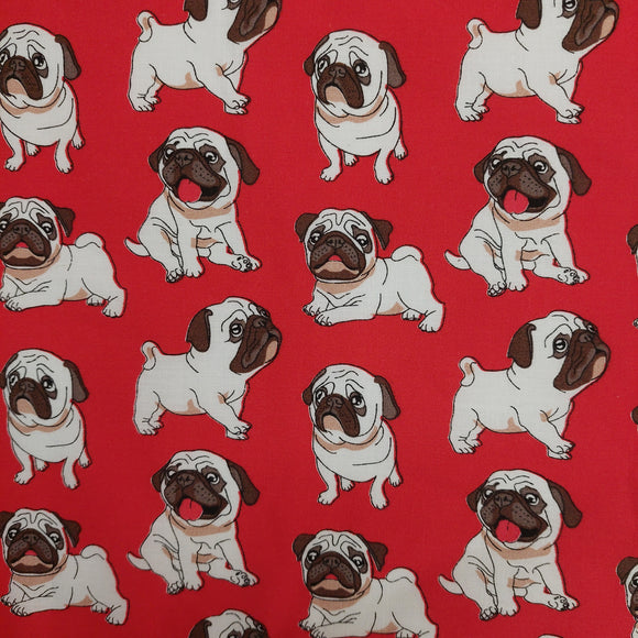 Cotone Bulldog Rosso