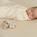 Katia Fabrics Purest Cotton Knit Jersey Stripes-3