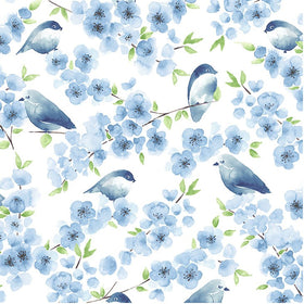 Cotone Americano Bluebird Family