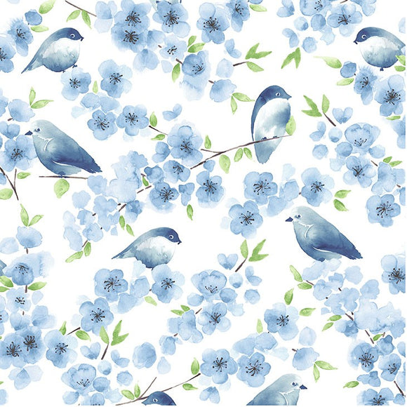 Cotone Americano Bluebird Family