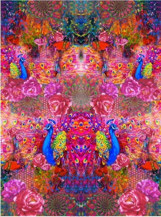 Jersey Pannello Allover Pavoni Fucsia