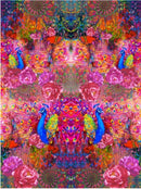 Jersey Pannello Allover Pavoni Fucsia-1