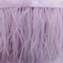 Passamaneria Bordo Piume Sottili-3