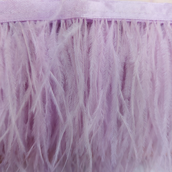 Passamaneria Bordo Piume Sottili