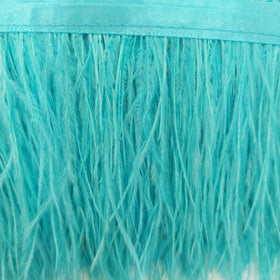 Acquista celeste Passamaneria Bordo Piume Sottili