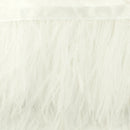 Passamaneria Bordo Piume Sottili-4