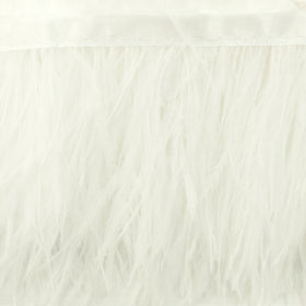 Acquista bianco Passamaneria Bordo Piume Sottili