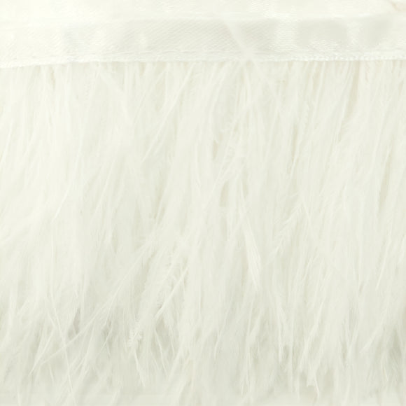 Passamaneria Bordo Piume Sottili