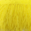 Passamaneria Bordo Piume Sottili-7