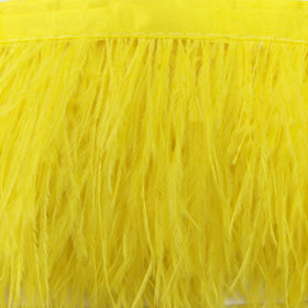 Acquista giallo Passamaneria Bordo Piume Sottili