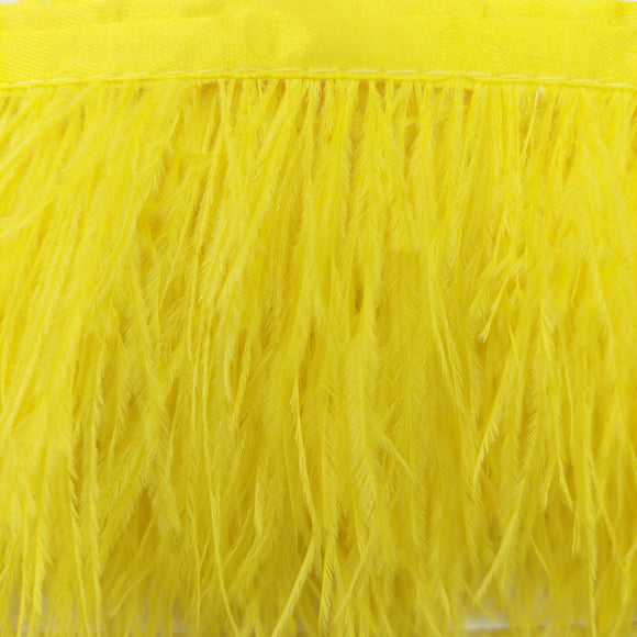 Passamaneria Bordo Piume Sottili