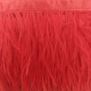 Passamaneria Bordo Piume Sottili-6