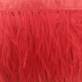 Acquista rosso Passamaneria Bordo Piume Sottili
