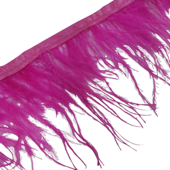 Passamaneria Bordo Piume Sottili