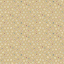 Cotone Americano Butternut-1