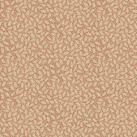 Cotone Americano Natale Agrifogli