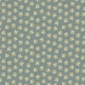 Cotone Americano Stelle