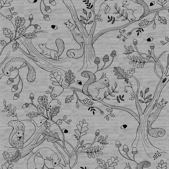 Katia Fabrics Felpa Squirrel Coord