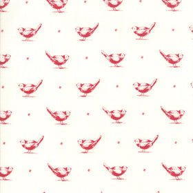 Cotone Americano Uccellini - 0