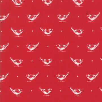 Cotone Americano Uccellini