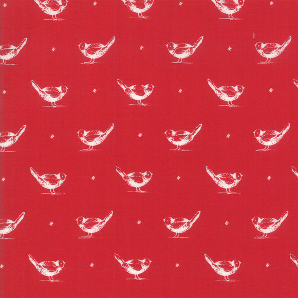 Cotone Americano Uccellini