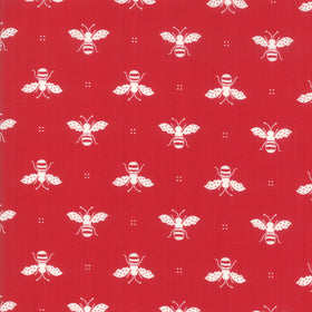 Cotone Americano Api