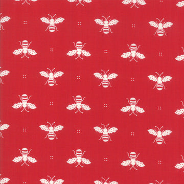 Cotone Americano Api