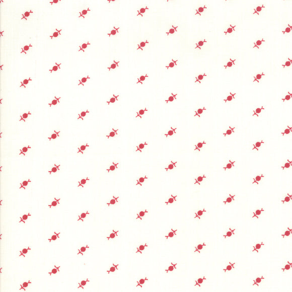 Cotone Americano Fiore Astratto