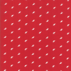 Cotone Americano Fiore Astratto